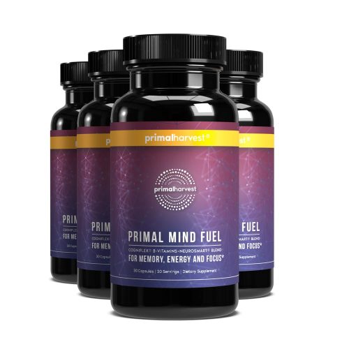 PH US Primal Mind Fuel mockup 4