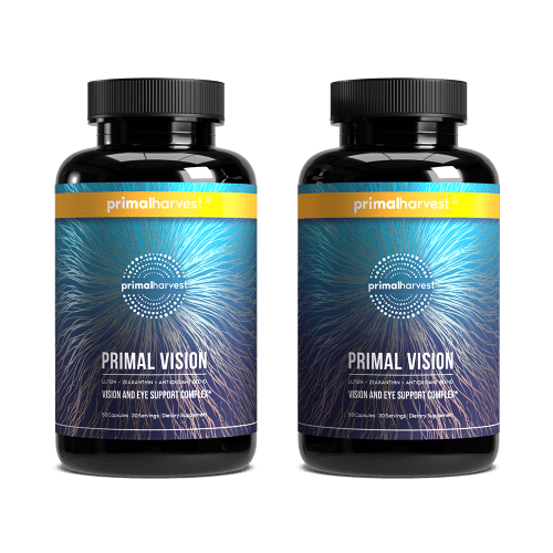 PH US Primal Vision mockup 2copy