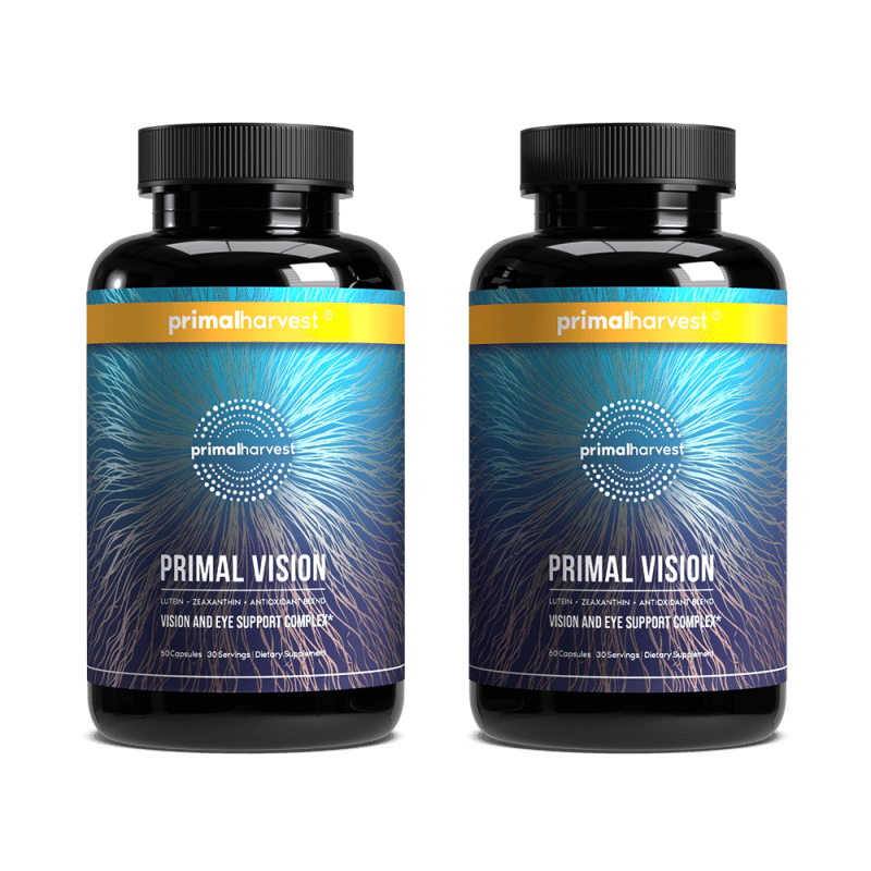 PH US Primal Vision mockup 2copy